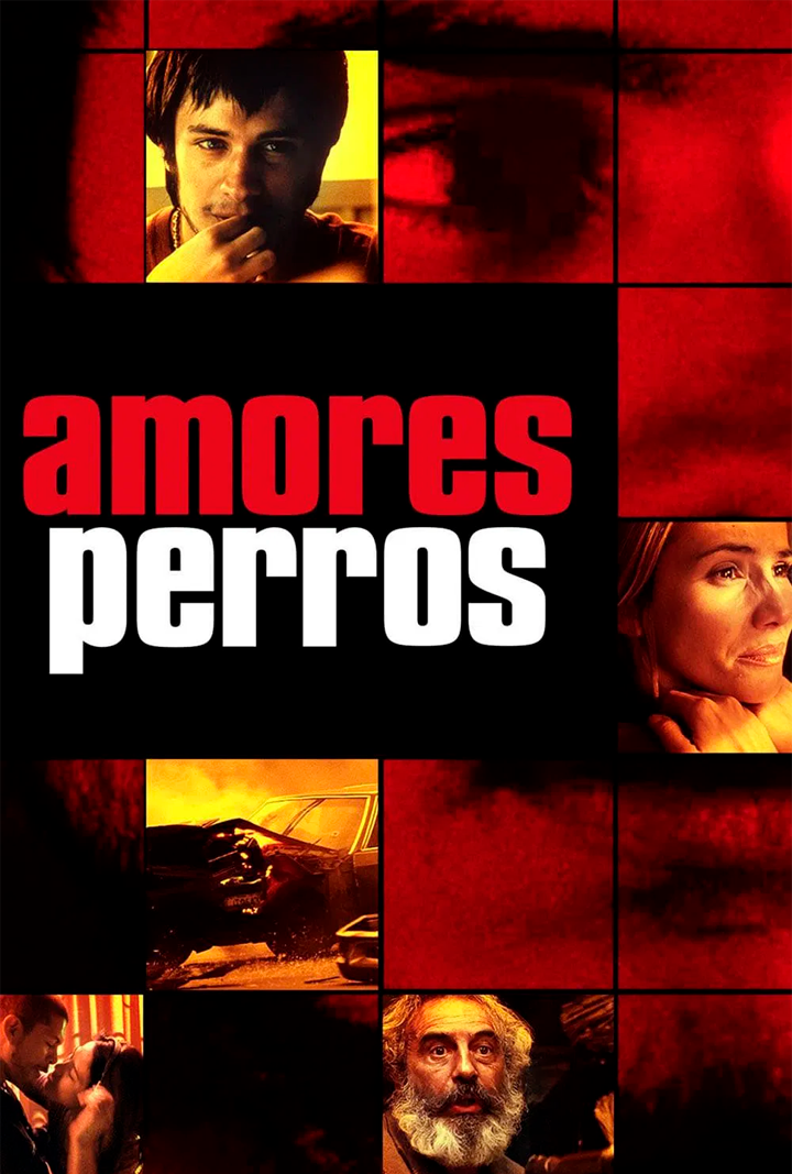 Amores Perros - Poster