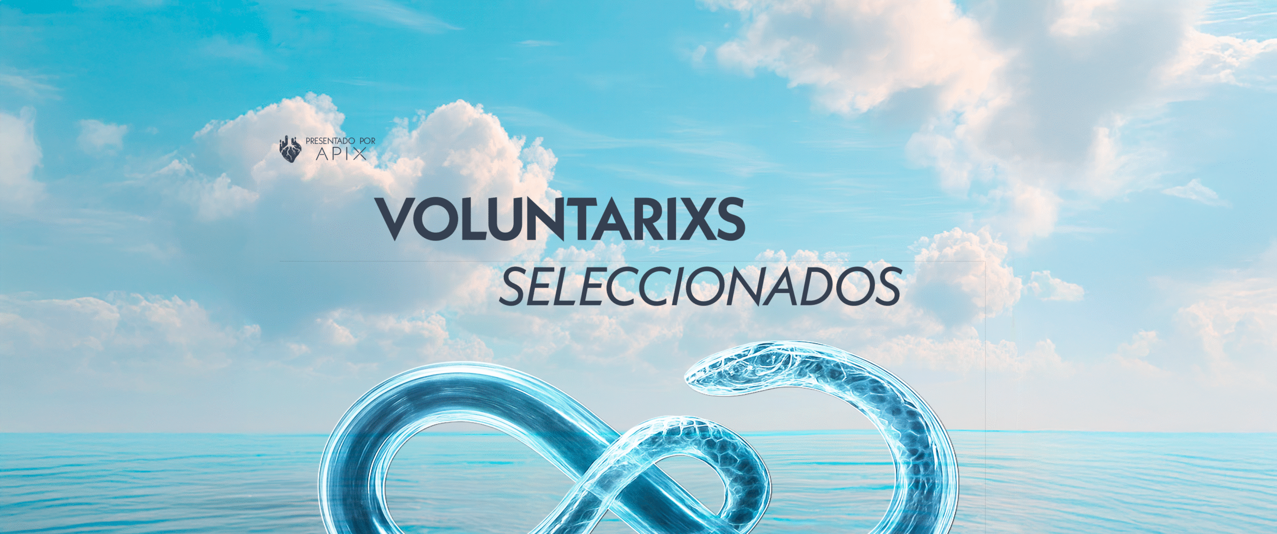 Portada Web - voluntarios seleccionados