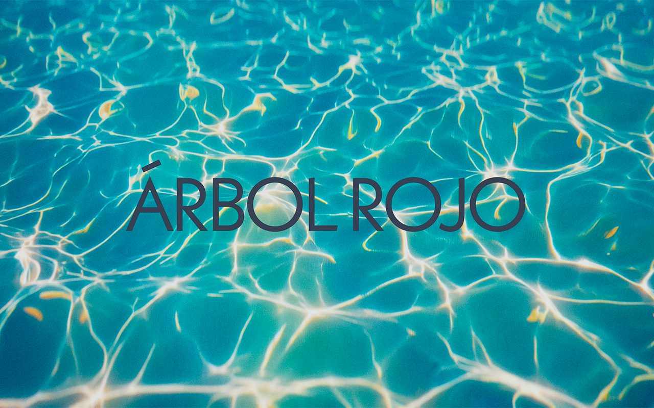 AR8 - Boletín Clausura - Cineminuto Still 01