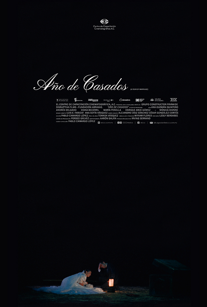 Año de Casados - Póster