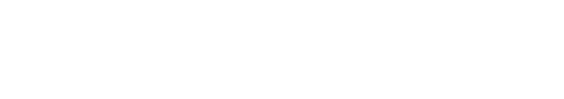 Apix logo3