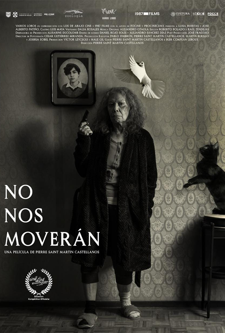 No nos moverán - Poster